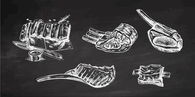 Organic food. Hand-drawn sketches of pork, ribs, beaf, lamb ribs, piece of meat, set. Decorations for the menu of cafes and labels. Engraved image on chalkboard background. vector