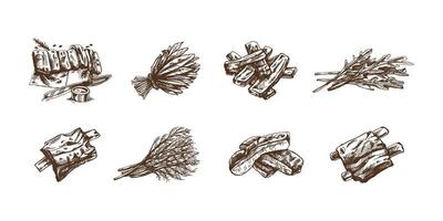 Hand-drawn monochrome sketch set of barbecue ribs and a greens. Doodle vintage illustration. Decorations for the menu of cafes and labels. Engraved image. vector