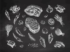 A set of hand-drawn sketches of barbecue elements on chalkboard background. For the design of the menu of restaurants and cafes, grilled food. Pieces of meat and vegetables with seasonings. vector