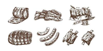 A set of hand-drawn sketches of meat pieces, bacon, ham, pork, ribs, sausage. Fresh meat products. For design of menu for restaurants, butcher shop. Vintage engraved illustration. vector