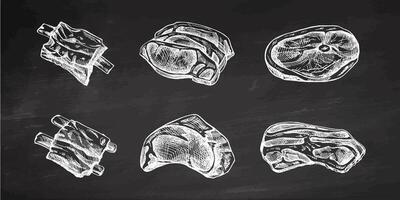 Hand-drawn sketches of pieces of meat, pork or beef steak, ribs, chop meat, bacon, piece of meat cuts. Decorations for menu of cafes. Engraved image on chalkboard background. vector