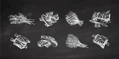 Hand-drawn monochrome sketch set of barbecue ribs and a greens. Doodle vintage illustration. Decorations for the menu of cafes and labels. Engraved image on chalkboard background. vector