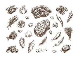 A set of hand-drawn sketches of barbecue elements. For the design of the menu of restaurants and cafes, grilled food. Pieces of meat and vegetables with seasonings. vector