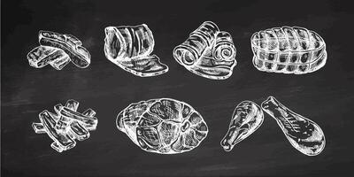 A set of hand-drawn sketches of meat pieces, ribs, beef steak, ham, pork, chicken. For design of menu for restaurants, butcher shop. Vintage engraved on chalkboard background. vector
