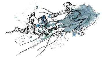 Watercolor and ink hand drawn marine life, sea ocean underwater creatures. fish, shells algae seaweed. Single object illustration, stylized, isolated on white. Zoo shop, aquarium, cosmetics, resort vector