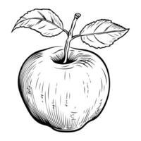 Vibrant sketch of a juicy apple with stem leaf, perfect as a cute outline icon. vector