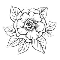 Professional artist creating clean, cute flower sketches for icons or designs in simple line art style. vector