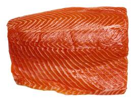 Raw trout fillet on isolated background, top view photo