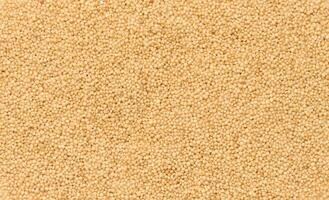 Amaranth seeds, full frame photo