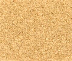 Amaranth seeds scattered, full frame photo