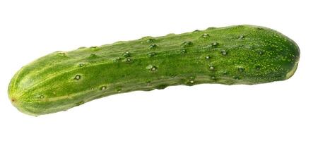 Fresh green cucumber on isolated background photo