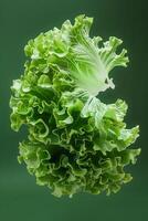 Artistic lettuce with a reflective symmetry, creating a visual feast on a green canvas photo