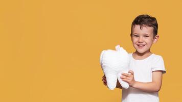 A smiling boy with healthy teeth holds a plush tooth in his hands on isolated background. Oral hygiene. Pediatric dentistry. Prevention of caries. A place for your text. photo