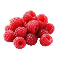 Fresh Raspberries in a Pile on Isolated Background. png