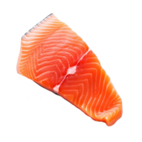 färsk rå lax filea med örter. lax filea med dill på isolerat bakgrund. png