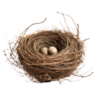 Bird's Nest With Two Eggs On Isolated Background. png