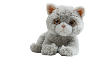 Realistic cat plush toy with embroidered eyes on the transparent background, Format png