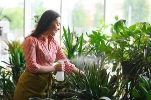 bonito hembra jardinero tomando cuidado de plantas en su flores y plantas tienda - mujer trabajando en un invernadero foto