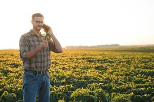 A cute farmer is standing in a soybean field and talking on the phone with his business partner. photo
