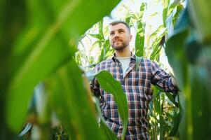 Yong handsome agronomist in the corn field and examining crops before harvesting. Agribusiness concept. agricultural engineer standing in a corn field. photo