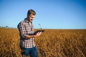 farmer standing in soybean field examining crop at sunset. photo