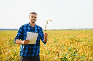 Agronomist inspecting soya bean crops growing in the farm field. Agriculture production concept. young agronomist examines soybean crop on field in summer. Farmer on soybean field photo