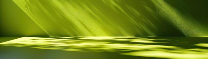 A solid chartreuse background that provides a vibrant and energetic canvas for highlighting products or objects in the foreground. The bright chartreuse color adds a sense of freshness and photo
