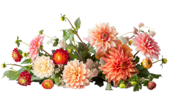 flowers bouquet made with Dahlia on the transparent background, Format png