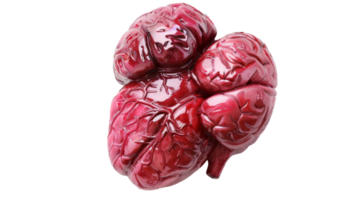 Anatomically accurate heart-shaped sculpture with a glossy finish on the transparent background, Format png