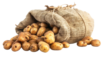 sack of potatoes on the transparent background, Format png