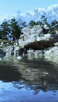 serene mountain lake surrounded by towering pine trees on a sunny day video