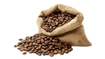 Burlap sack of coffee beans on the transparent background, Format png