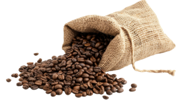 Burlap sack filled with coffee beans on the transparent background, Format png