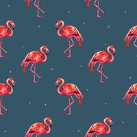 Watercolor flamingo background. Summer seamless pattern of flamingo. vector
