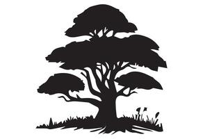 Various types of Vintage woodland pine trees with ground soil silhouette vector