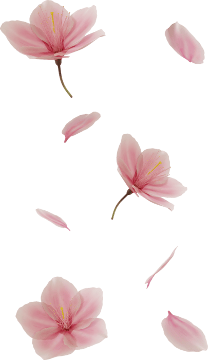 Falling Flowers PNGs for Free Download