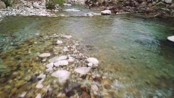 Drone captures creek in fast-flowing mountain area. Aerial view of clear water in rocky creek. Explore natural beauty with footage of mountain creek video