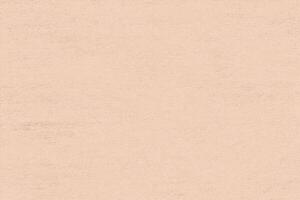 grainy light sand paper texture background vector