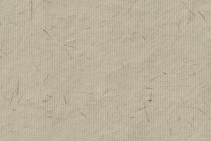 handmade rice paper texture background vector