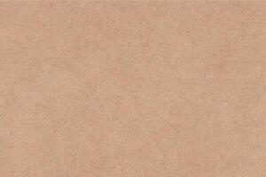 varnish cardboard texture background vector
