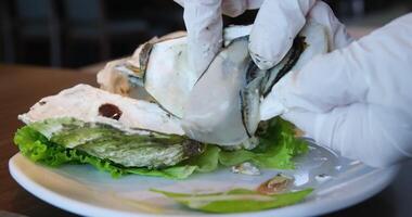 woman opens a fresh oyster with a knife. Hands in protective gloves. Unrecognizable photo.Top view. Copy space. Boiled oysters Fine de Claire Oyster on white Background video