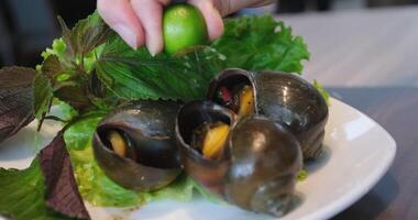 Snails seafood Pour lime over boiled shells plate with ice and lemon, in the hands of the chef pour lime on a wooden background. Seafood, restaurant, delicious taste video