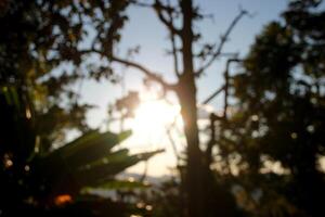 silhouette shadow of a tree leaf on the mountain hills with sunset and cloud sky background photo
