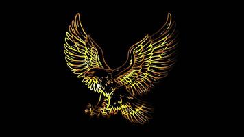 Neon frame effect white eagle, a symbol of Poland, glow, black background. video