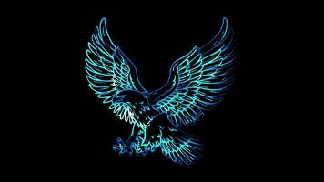 Neon frame effect white eagle, a symbol of Poland, glow, black background. video