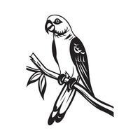 Parrot on a branch Image . Black and white ink illustration of a Parrot vector