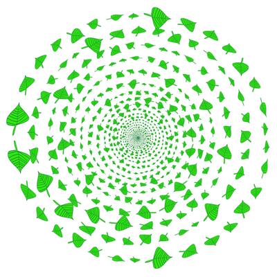 Round pattern of green leaves arranged in a spiral on a white background
