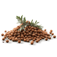 Ground elk lean and gamey with juniper berries and sage leaves tumbling in a rustic png
