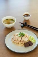 Hainanese Chicken rice with salted soya beans sauce and soup photo