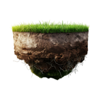 suolo con erba su trasparente sfondo png